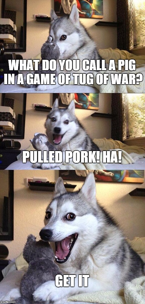 Bad Pun Dog | WHAT DO YOU CALL A PIG IN A GAME OF TUG OF WAR? PULLED PORK! HA! GET IT | image tagged in memes,bad pun dog | made w/ Imgflip meme maker