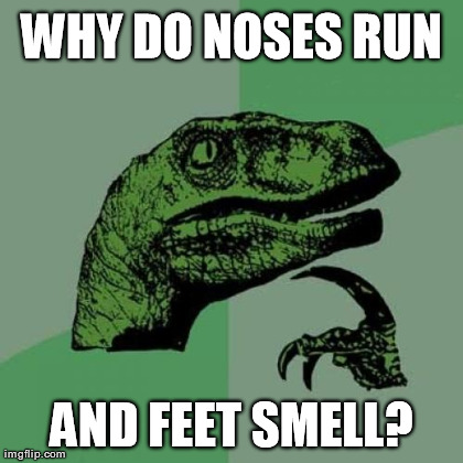 Philosoraptor | image tagged in memes,philosoraptor | made w/ Imgflip meme maker