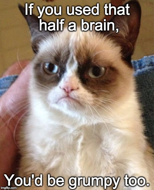 Grumpy Cat Meme | If you used that half a brain, You'd be grumpy too. | image tagged in memes,grumpy cat | made w/ Imgflip meme maker