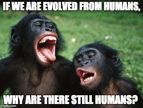 Bonobo Lyfe | IF WE ARE EVOLVED FROM HUMANS, WHY ARE THERE STILL HUMANS? | image tagged in memes,bonobo lyfe | made w/ Imgflip meme maker