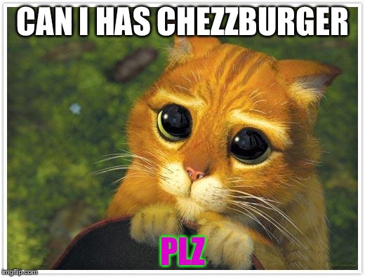 Shrek Cat | CAN I HAS CHEZZBURGER PLZ | image tagged in memes,shrek cat | made w/ Imgflip meme maker