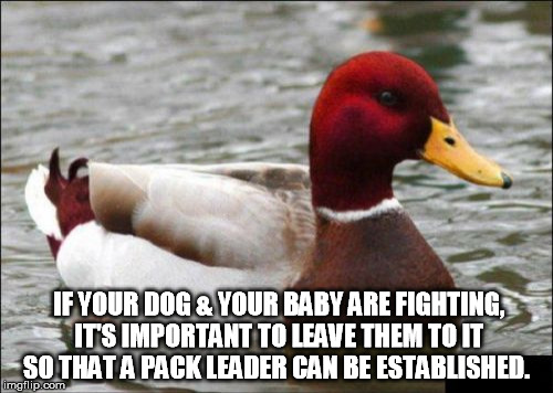 Malicious Advice Mallard Meme | IF YOUR DOG & YOUR BABY ARE FIGHTING, IT'S IMPORTANT TO LEAVE THEM TO IT SO THAT A PACK LEADER CAN BE ESTABLISHED. | image tagged in memes,malicious advice mallard | made w/ Imgflip meme maker