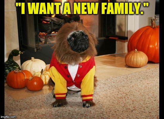 Save The Pets! | "I WANT A NEW FAMILY." | image tagged in halloween,pug,costume,dog | made w/ Imgflip meme maker