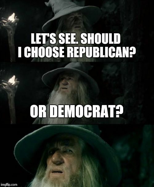 Confused Gandalf Meme | LET'S SEE. SHOULD I CHOOSE REPUBLICAN? OR DEMOCRAT? | image tagged in memes,confused gandalf | made w/ Imgflip meme maker