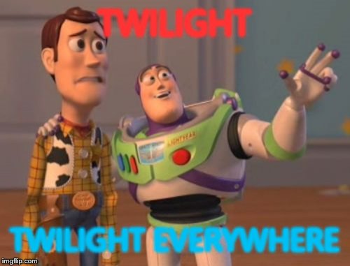 X, X Everywhere Meme | TWILIGHT TWILIGHT EVERYWHERE | image tagged in memes,x x everywhere | made w/ Imgflip meme maker