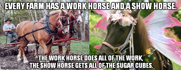This is how it is where I work... | EVERY FARM HAS A WORK HORSE AND A SHOW HORSE. THE WORK HORSE DOES ALL OF THE WORK, THE SHOW HORSE GETS ALL OF THE SUGAR CUBES. | image tagged in workhorse,work sucks,memes | made w/ Imgflip meme maker