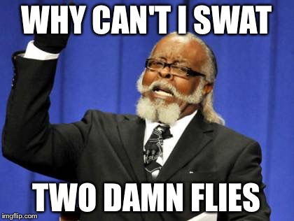 Too Damn High I Miss | WHY CAN'T I SWAT TWO DAMN FLIES | image tagged in memes,too damn high,meme,fly,swat,funny memes | made w/ Imgflip meme maker