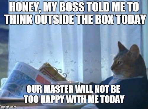 I Should Buy A Boat Cat | HONEY, MY BOSS TOLD ME TO THINK OUTSIDE THE BOX TODAY OUR MASTER WILL NOT BE TOO HAPPY WITH ME TODAY | image tagged in memes,i should buy a boat cat | made w/ Imgflip meme maker