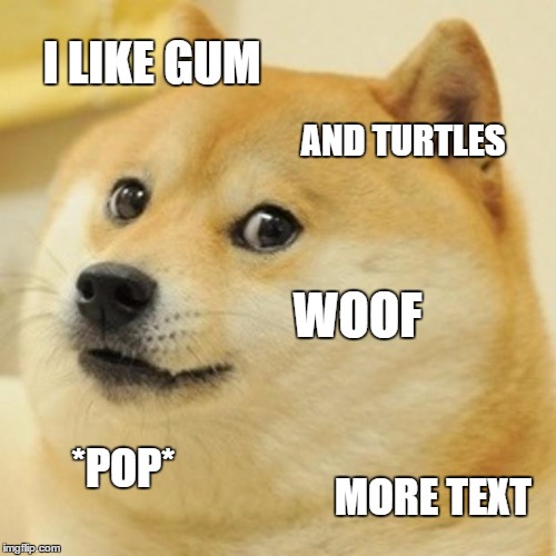 Doge Meme | I LIKE GUM AND TURTLES WOOF *POP* MORE TEXT | image tagged in memes,doge | made w/ Imgflip meme maker