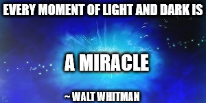 EVERY MOMENT OF LIGHT AND DARK IS A MIRACLE ~ WALT WHITMAN | made w/ Imgflip meme maker