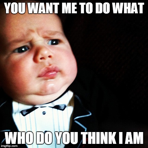 YOU WANT ME TO DO WHAT WHO DO YOU THINK I AM | image tagged in who do you think i am | made w/ Imgflip meme maker