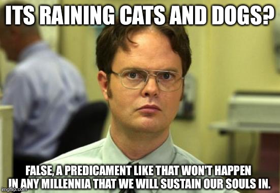 Dwight Schrute Meme | ITS RAINING CATS AND DOGS? FALSE, A PREDICAMENT LIKE THAT WON'T HAPPEN IN ANY MILLENNIA THAT WE WILL SUSTAIN OUR SOULS IN. | image tagged in memes,dwight schrute | made w/ Imgflip meme maker