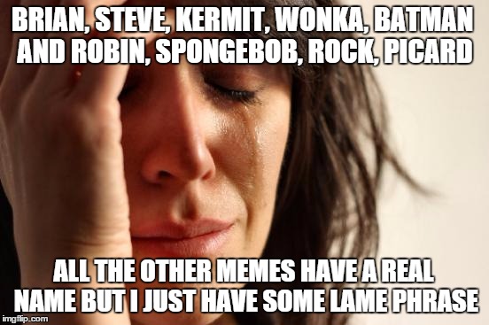 First World Problems Meme | BRIAN, STEVE, KERMIT, WONKA, BATMAN AND ROBIN, SPONGEBOB, ROCK, PICARD ALL THE OTHER MEMES HAVE A REAL NAME BUT I JUST HAVE SOME LAME PHRASE | image tagged in memes,first world problems | made w/ Imgflip meme maker