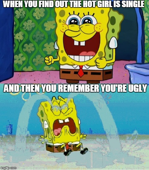 hot girl and you are ugly | WHEN YOU FIND OUT THE HOT GIRL IS SINGLE AND THEN YOU REMEMBER YOU'RE UGLY | image tagged in hot girl and you are ugly | made w/ Imgflip meme maker