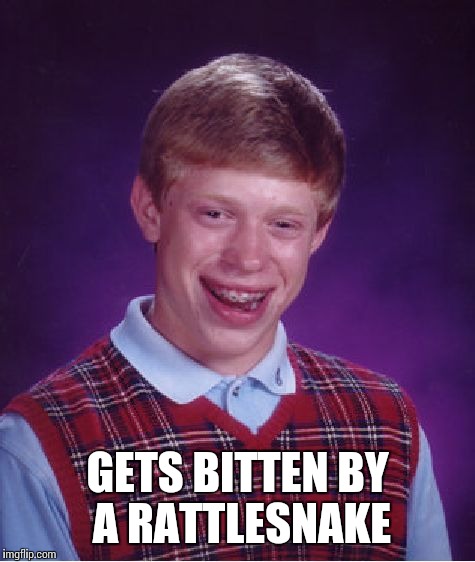 Bad Luck Brian Meme | GETS BITTEN BY A RATTLESNAKE | image tagged in memes,bad luck brian | made w/ Imgflip meme maker