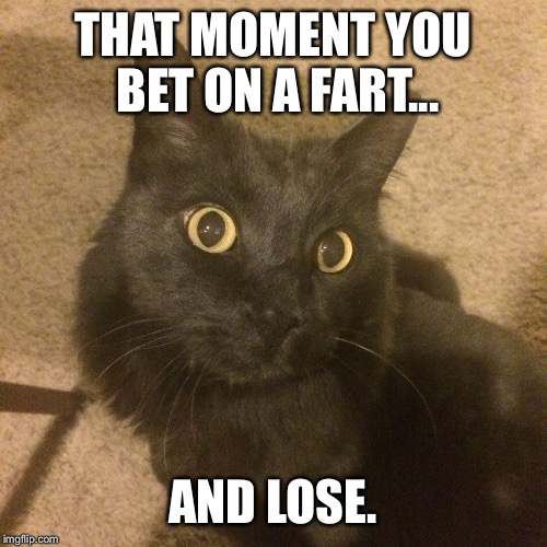 THAT MOMENT YOU BET ON A FART... AND LOSE. | image tagged in ivan | made w/ Imgflip meme maker