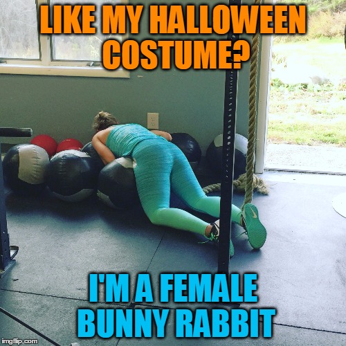 Ready and Willing | LIKE MY HALLOWEEN COSTUME? I'M A FEMALE BUNNY RABBIT | image tagged in crossfit | made w/ Imgflip meme maker