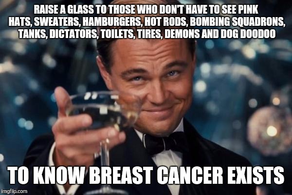 Leonardo Dicaprio Cheers | RAISE A GLASS TO THOSE WHO DON'T HAVE TO SEE PINK HATS, SWEATERS, HAMBURGERS, HOT RODS, BOMBING SQUADRONS, TANKS, DICTATORS, TOILETS, TIRES, | image tagged in memes,leonardo dicaprio cheers | made w/ Imgflip meme maker