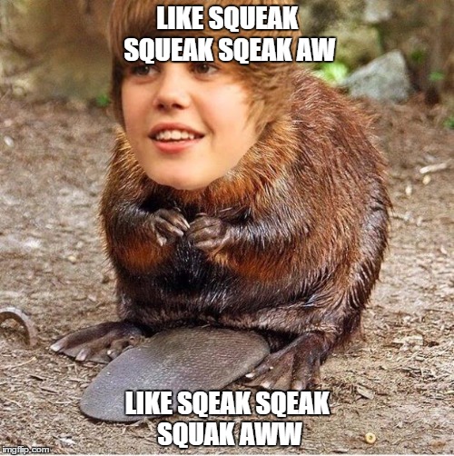 justin beaver | LIKE SQUEAK SQUEAK SQEAK AW LIKE SQEAK SQEAK SQUAK AWW | image tagged in justin beaver | made w/ Imgflip meme maker