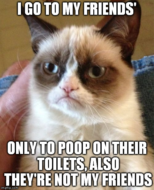 Grumpy Cat Meme | I GO TO MY FRIENDS' ONLY TO POOP ON THEIR TOILETS, ALSO THEY'RE NOT MY FRIENDS | image tagged in memes,grumpy cat | made w/ Imgflip meme maker