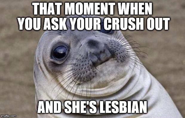 Awkward Moment Sealion | THAT MOMENT WHEN YOU ASK YOUR CRUSH OUT AND SHE'S LESBIAN | image tagged in memes,awkward moment sealion | made w/ Imgflip meme maker