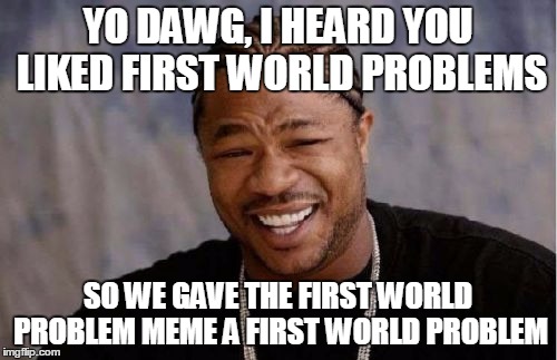 Yo Dawg Heard You Meme | YO DAWG, I HEARD YOU LIKED FIRST WORLD PROBLEMS SO WE GAVE THE FIRST WORLD PROBLEM MEME A FIRST WORLD PROBLEM | image tagged in memes,yo dawg heard you | made w/ Imgflip meme maker