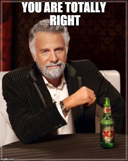 The Most Interesting Man In The World Meme | YOU ARE TOTALLY RIGHT | image tagged in memes,the most interesting man in the world | made w/ Imgflip meme maker