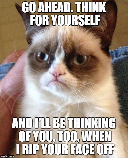 Grumpy Cat Meme | GO AHEAD. THINK FOR YOURSELF AND I'LL BE THINKING OF YOU, TOO, WHEN I RIP YOUR FACE OFF | image tagged in memes,grumpy cat | made w/ Imgflip meme maker