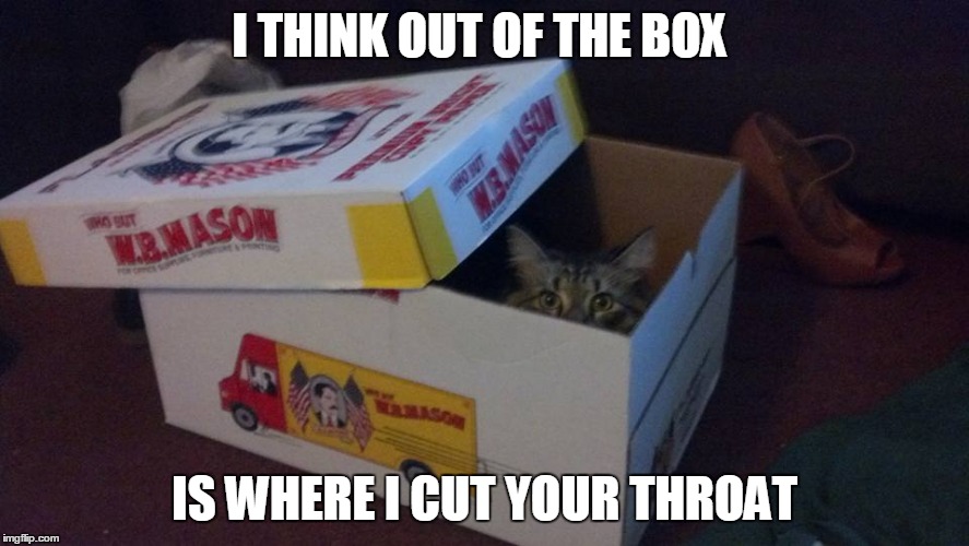 I THINK OUT OF THE BOX IS WHERE I CUT YOUR THROAT | image tagged in boxcat,cats,memes,funny memes,funny cat memes,cat meme | made w/ Imgflip meme maker
