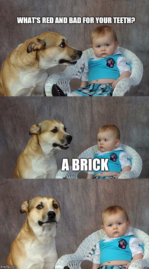 Dad Joke Dog | WHAT'S RED AND BAD FOR YOUR TEETH? A BRICK | image tagged in memes,dad joke dog | made w/ Imgflip meme maker