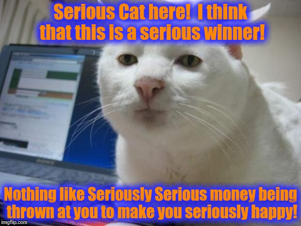 Serious Cat | Serious Cat here!  I think that this is a serious winner! Nothing like Seriously Serious money being thrown at you to make you seriously hap | image tagged in serious cat | made w/ Imgflip meme maker