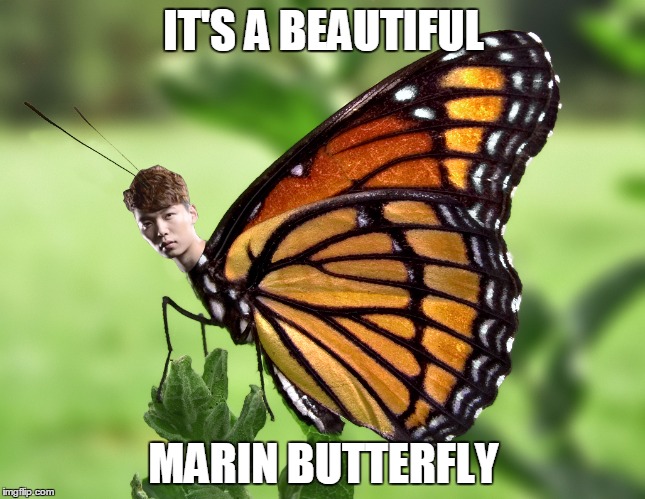 Oh look Monte, a Beautiful Marin Butterfly has appeared! | IT'S A BEAUTIFUL MARIN BUTTERFLY | image tagged in marin,skt,monte,quotes,beautiful,butterfly | made w/ Imgflip meme maker