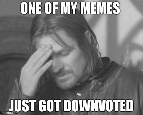 Frustrated Boromir Meme | ONE OF MY MEMES JUST GOT DOWNVOTED | image tagged in memes,frustrated boromir | made w/ Imgflip meme maker