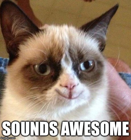 Grumpy smile | SOUNDS AWESOME | image tagged in grumpy smile | made w/ Imgflip meme maker