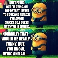 minions sad | I JUST FOUND OUT I'M DYING. ON TOP OF THAT, I WENT TO COOK AND REALIZED I'M LOW ON SPICES. SO, I GUESS MY THYME IS LIMITED. NORMALLY THAT WO | image tagged in minions sad | made w/ Imgflip meme maker