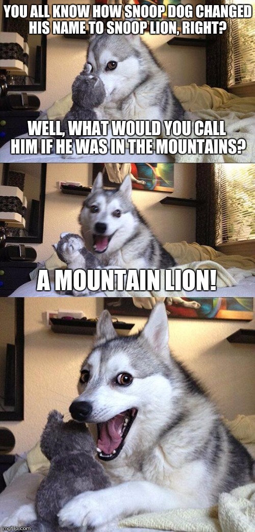 Bad Pun Dog Meme | YOU ALL KNOW HOW SNOOP DOG CHANGED HIS NAME TO SNOOP LION, RIGHT? WELL, WHAT WOULD YOU CALL HIM IF HE WAS IN THE MOUNTAINS? A MOUNTAIN LION! | image tagged in memes,bad pun dog | made w/ Imgflip meme maker