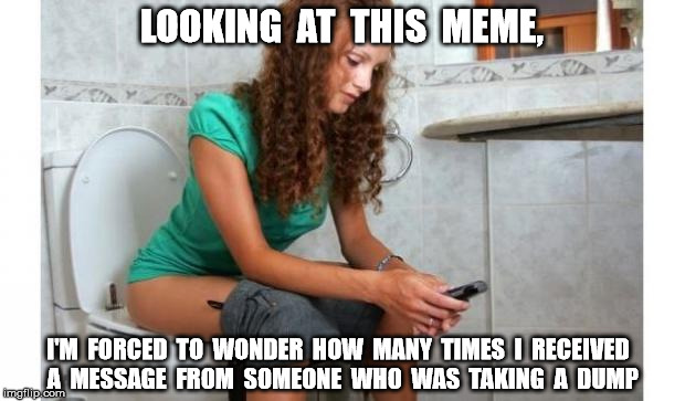 toilet meme | LOOKING  AT  THIS  MEME, I'M  FORCED  TO  WONDER  HOW  MANY  TIMES  I  RECEIVED  A  MESSAGE  FROM  SOMEONE  WHO  WAS  TAKING  A  DUMP | image tagged in toilet meme | made w/ Imgflip meme maker