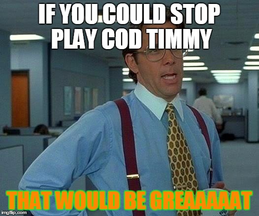 That Would Be Great Meme | IF YOU COULD STOP PLAY COD TIMMY THAT WOULD BE GREAAAAAT | image tagged in memes,that would be great | made w/ Imgflip meme maker