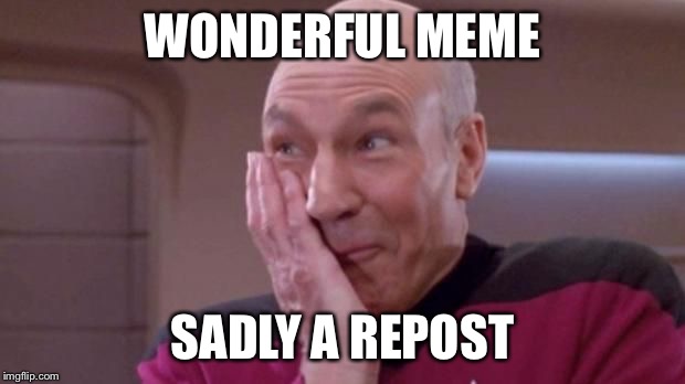 picard oops | WONDERFUL MEME SADLY A REPOST | image tagged in picard oops | made w/ Imgflip meme maker