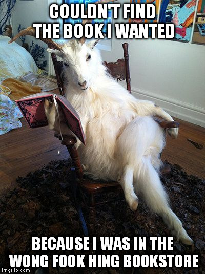 reading goat | COULDN'T FIND THE BOOK I WANTED BECAUSE I WAS IN THE WONG FOOK HING BOOKSTORE | image tagged in reading goat | made w/ Imgflip meme maker