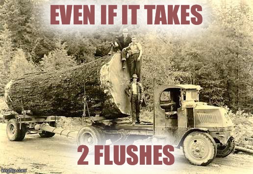 EVEN IF IT TAKES 2 FLUSHES | made w/ Imgflip meme maker