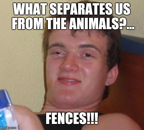 Do you know what?... | WHAT SEPARATES US FROM THE ANIMALS?... FENCES!!! | image tagged in memes,10 guy | made w/ Imgflip meme maker