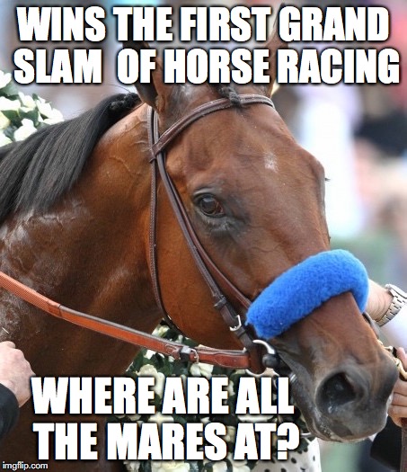 American Pharaoh incentive | WINS THE FIRST GRAND SLAM  OF HORSE RACING WHERE ARE ALL THE MARES AT? | image tagged in horse | made w/ Imgflip meme maker
