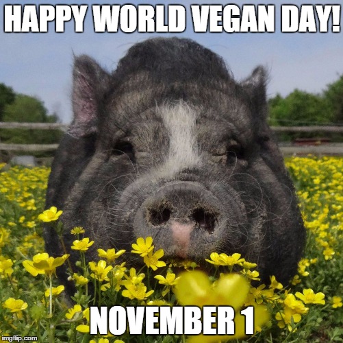 HAPPY WORLD VEGAN DAY! NOVEMBER 1 | made w/ Imgflip meme maker