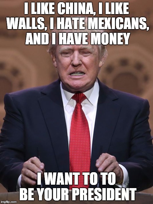 Donald Trump | I LIKE CHINA, I LIKE WALLS, I HATE MEXICANS, AND I HAVE MONEY I WANT TO TO BE YOUR PRESIDENT | image tagged in donald trump | made w/ Imgflip meme maker