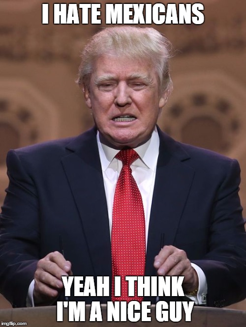 Donald Trump | I HATE MEXICANS YEAH I THINK I'M A NICE GUY | image tagged in donald trump | made w/ Imgflip meme maker