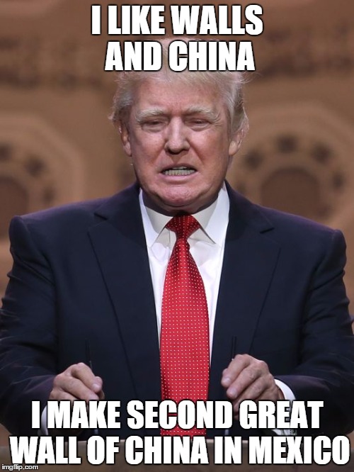 Donald Trump | I LIKE WALLS AND CHINA I MAKE SECOND GREAT WALL OF CHINA IN MEXICO | image tagged in donald trump | made w/ Imgflip meme maker