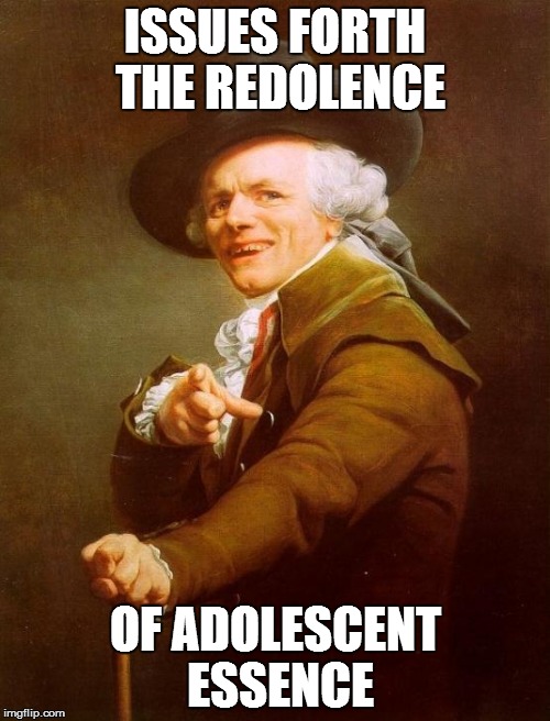 Do you know this famous song he is talking about? | ISSUES FORTH THE REDOLENCE OF ADOLESCENT ESSENCE | image tagged in memes,joseph ducreux | made w/ Imgflip meme maker