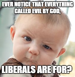 Liberals - and an armature's observation | EVER NOTICE THAT EVERYTHING CALLED EVIL BY GOD, LIBERALS ARE FOR? | image tagged in political meme | made w/ Imgflip meme maker