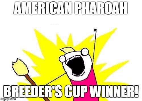 X All The Y Meme | AMERICAN PHAROAH BREEDER'S CUP WINNER! | image tagged in memes,x all the y | made w/ Imgflip meme maker